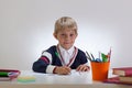 Little student doing homework Royalty Free Stock Photo