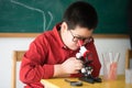 Little students study science in classroom