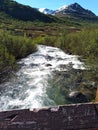 Little Sue Hatcher Pass Alaska