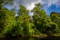 Little Sugar Creek, at Freedom Park, in Charlotte, North Carolina.