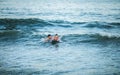 Little surfer learn to ride on surfboard on sea wave. Father with son play in summer ocean, learning surfing. Little boy swim on Royalty Free Stock Photo