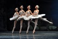 Little Swans, Swan Lake Ballet. Royalty Free Stock Photo