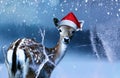 Little sweet fawn in red Santa Claus hat is looking in at a frozen window at Holy Night.