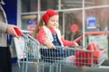 A little sweet girl is sitting in a supermarket shopping cart. Royalty Free Stock Photo