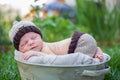 Little sweet newborn baby boy, sleeping in crate with knitted pa Royalty Free Stock Photo