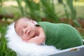 Little sweet newborn baby boy, sleeping in crate with wrap and h Royalty Free Stock Photo