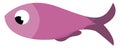 A purple fish vector or color illustration