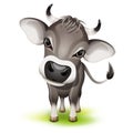 Little swiss cow Royalty Free Stock Photo