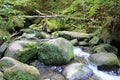 A river in the Little Switzerland of Luxembourg, Mullerthal Royalty Free Stock Photo