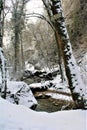 Mullerthal, Luxembourg - January 2024 - river and forest under snow Royalty Free Stock Photo
