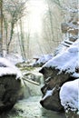 Mullerthal, Luxembourg - January 2024 - A small river with ice in the forest under snow Royalty Free Stock Photo