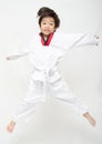 Little tae kwon do boy martial art jumping Royalty Free Stock Photo