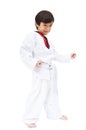 Little tae kwon do boy martial art Royalty Free Stock Photo