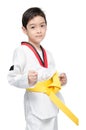 Little tae kwon do boy martial art yellow belt