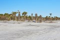 Little Talbot Island State Park, Florida