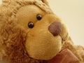 Little Teddy Bear Royalty Free Stock Photo