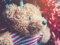 Little teddy bear , a Christmas`s gift for lover with winter background Royalty Free Stock Photo