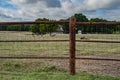 Little Texas Farm Life The Life of a GOAT Royalty Free Stock Photo