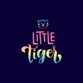 Little tiger beautiful and colorful text design and blue background