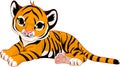 Little tiger cub resting Royalty Free Stock Photo