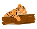 A little tiger cub sleeps near a tree. Royalty Free Stock Photo
