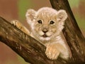 Little tiger cub on a tree. Royalty Free Stock Photo