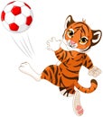 Little Tiger hits the ball Royalty Free Stock Photo