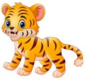 Little tiger make a happy Royalty Free Stock Photo