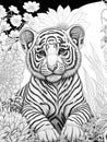 Little tiger portrait, coloring page, flowers background, cute baby animal, black and white illustration, ink drawing Royalty Free Stock Photo