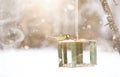 Little titmouse on the trough eats. Winter bird Royalty Free Stock Photo