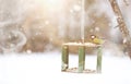 Little titmouse on the trough eats. Winter bird Royalty Free Stock Photo