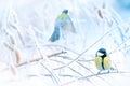 Little tits in a fairy-tale snowy forest. Christmas image. Winter wonderland. Royalty Free Stock Photo