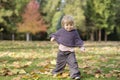 Little toddler in an autumn park Royalty Free Stock Photo