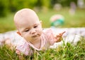 Little toddler baby learning to crawl on a picnic blanket in nature - Young tot girl on all fours smiling and looking on a blade Royalty Free Stock Photo