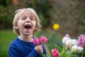 Little toddler blond boy, child, holding vase with tulips for mom, gift for Mother`s day