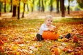 Little toddler boy with big orange pumpkin in autumn garden. Royalty Free Stock Photo