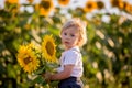 Little toddler boy, child in sunflower field, playing with big flower Royalty Free Stock Photo