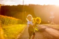 Little toddler boy, child in sunflower field, playing with big flower Royalty Free Stock Photo