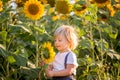 Little toddler boy, child in sunflower field, playing with big flower Royalty Free Stock Photo