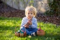 Little toddler boy, eating chocolate bunny in garden on sunset, easter eggs Royalty Free Stock Photo