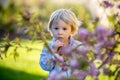 Little toddler boy, eating chocolate bunny in garden on sunset, easter eggs Royalty Free Stock Photo