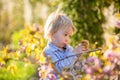 Little toddler boy, eating chocolate bunny garden on sunset, easter eggs around him Royalty Free Stock Photo
