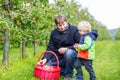 Little toddler boy and father picking red apples in orchard Royalty Free Stock Photo