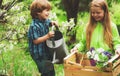 Little toddler boy and girl gardening and having fun in spring yard. Pretty cute kids working and playing in beautiful