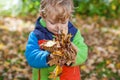 Little toddler boy having fun in autumn park Royalty Free Stock Photo