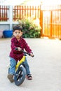 Little toddler boy learning to ride on his first bike Royalty Free Stock Photo