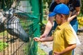 little toddler boy with mother feeding donkey at contact zoo