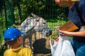 little toddler boy with mother feeding donkey at contact zoo