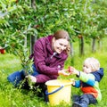 Little toddler boy and mother picking red apples in orchard Royalty Free Stock Photo
