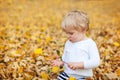 Little toddler boy playing in autumn park Royalty Free Stock Photo